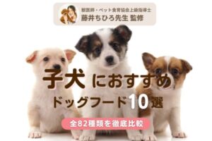 【獣医師監修】子犬用ドッグフードおすすめ人気ランキング11選【安心×食いつきを重視！】